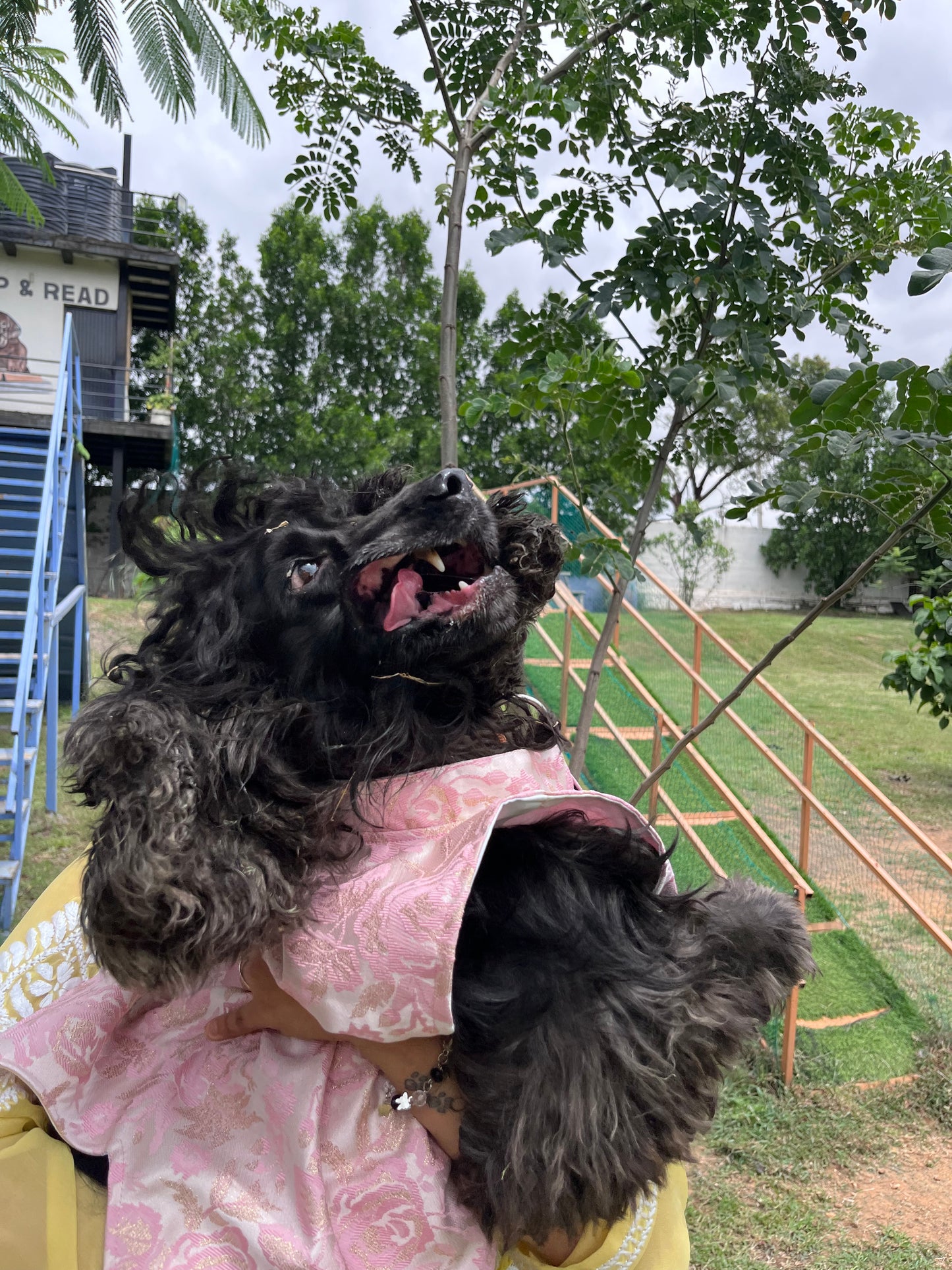 ๐พ Kutta Kurta โ Blush Royale (Pookie Collection) ๐ธ