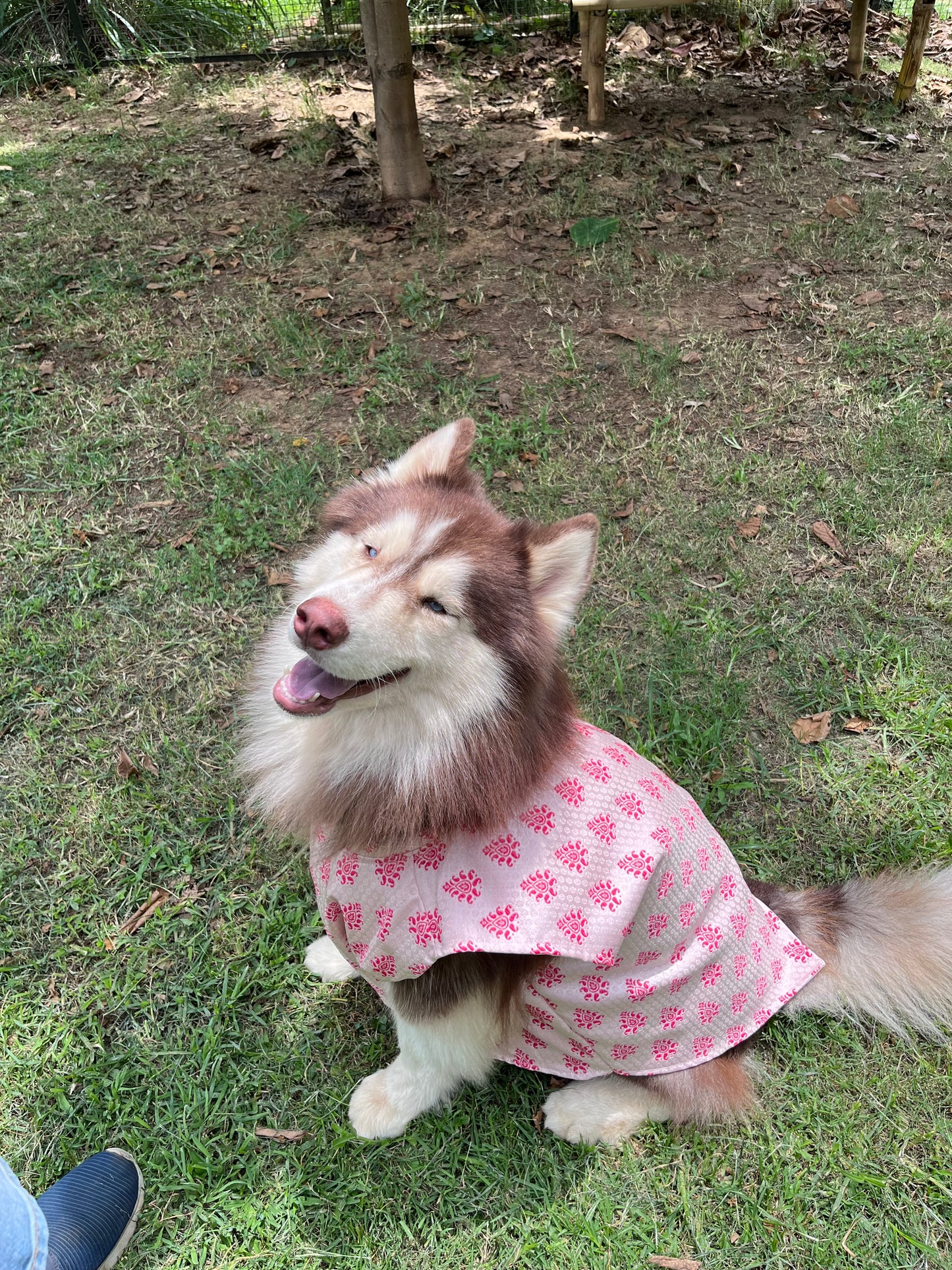 ๐พ Kutta Kurta โ Gulabi Bloom Edition ๐ธ