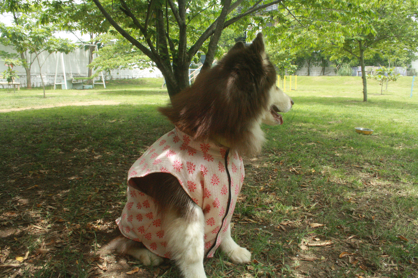 ๐พ Kutta Kurta โ Gulabi Bloom Edition ๐ธ