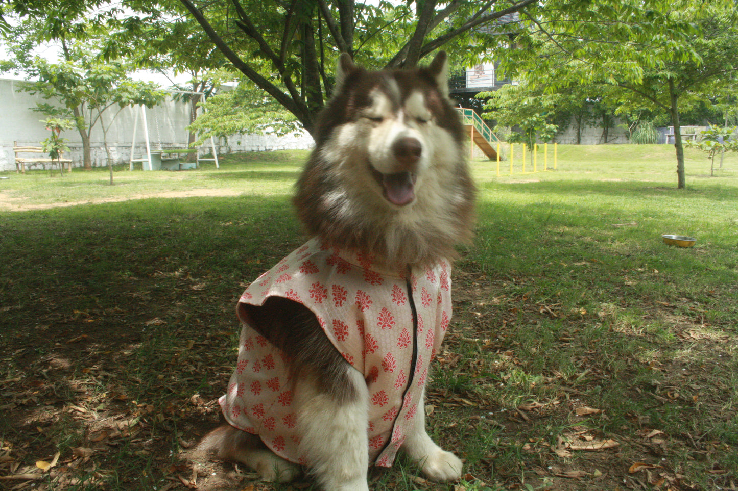 ๐พ Kutta Kurta โ Gulabi Bloom Edition ๐ธ