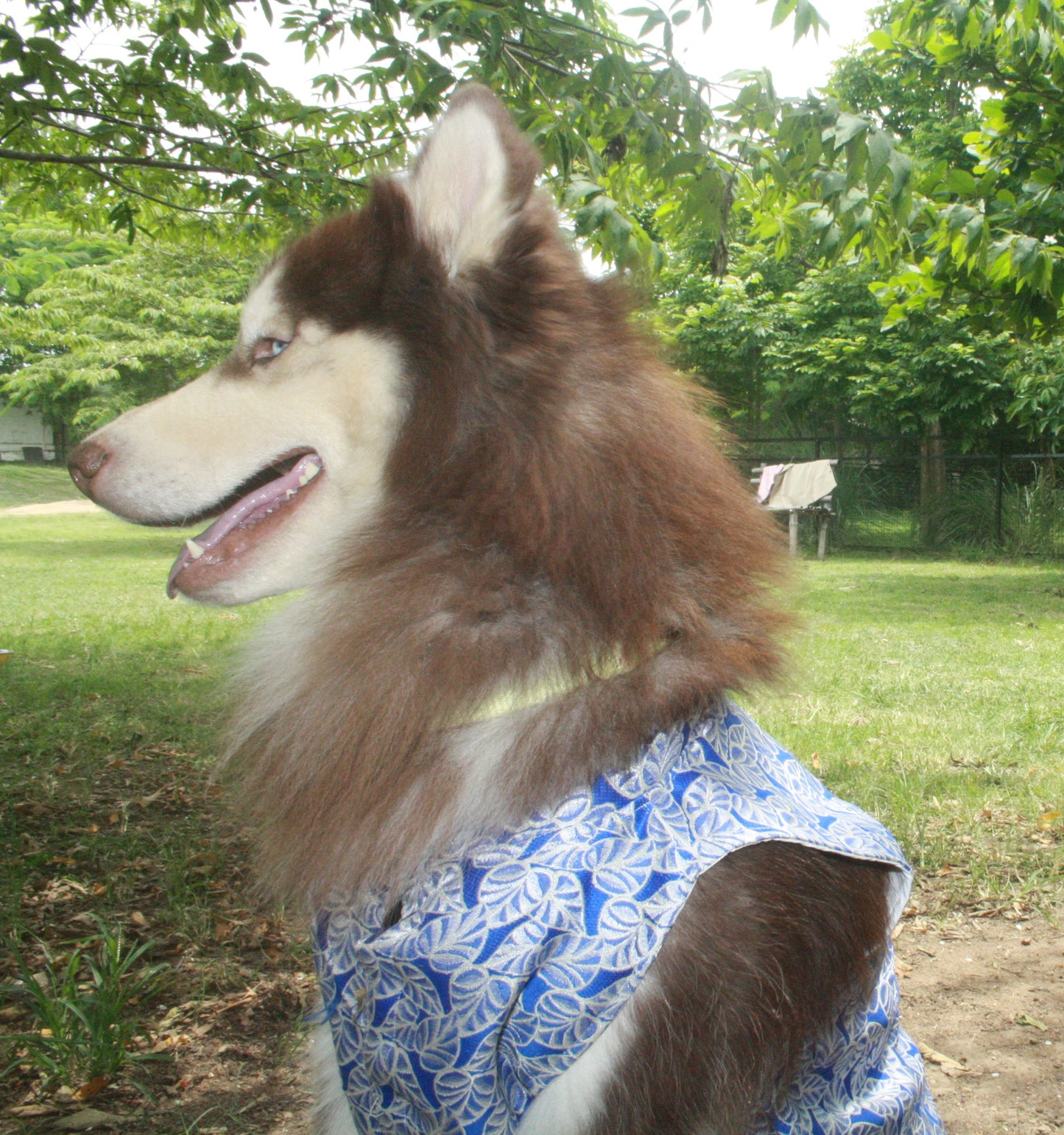 ๐พ Kutta Kurta โ Royal Indigo Edition ๐