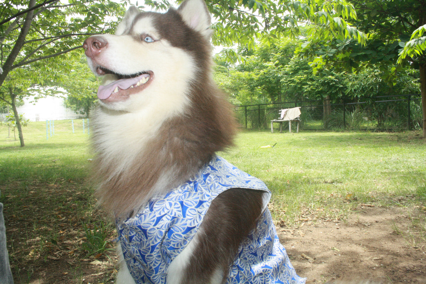 ๐พ Kutta Kurta โ Royal Indigo Edition ๐