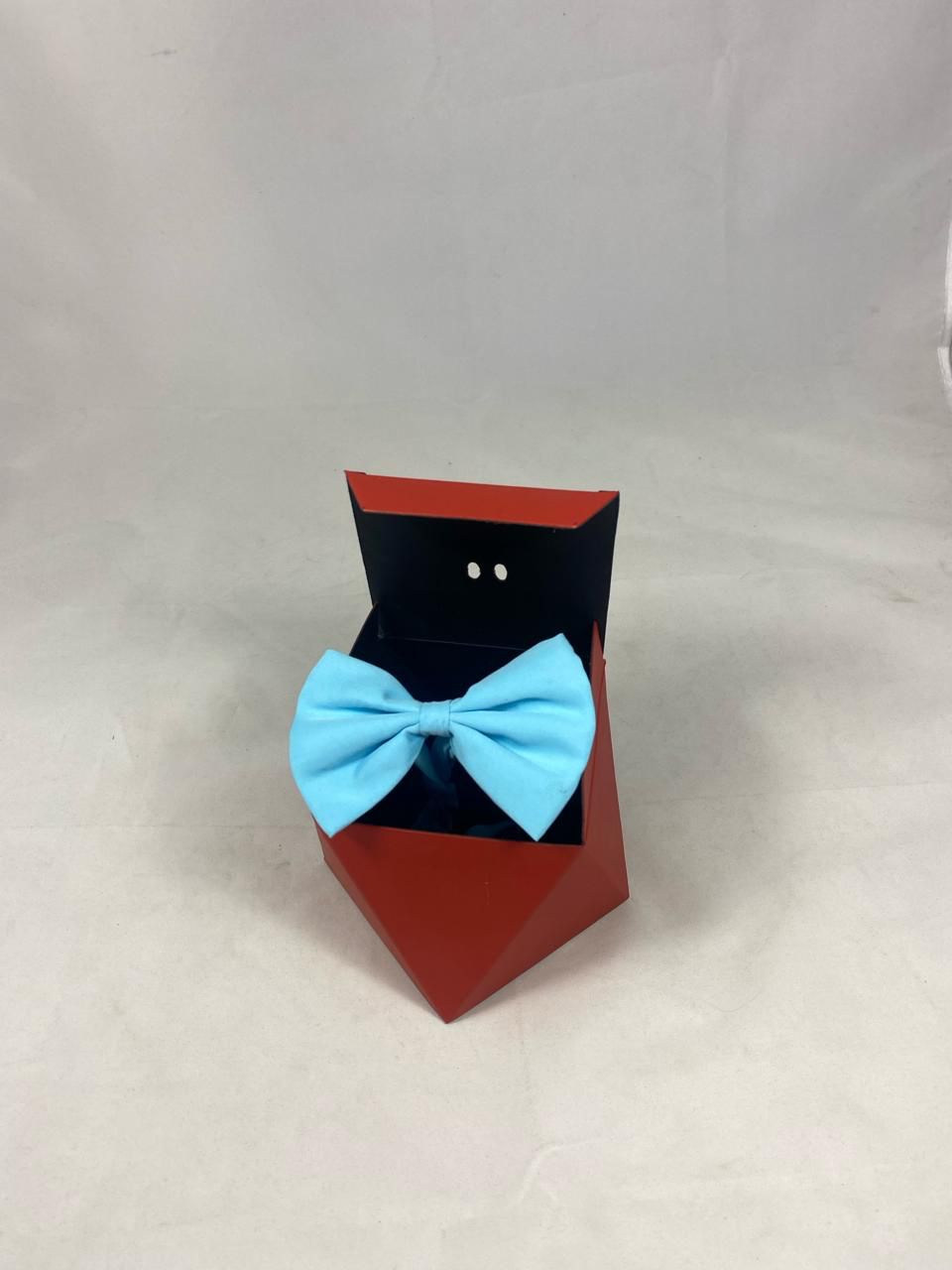 Bow-Bow tie