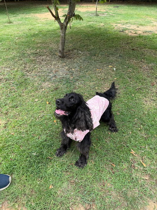 🐾 Kutta Kurta – Blush Royale (Pookie Collection) 🌸
