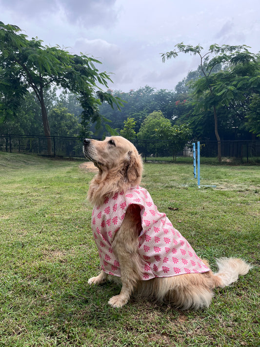 🐾 Kutta Kurta – Gulabi Bloom Edition 🌸