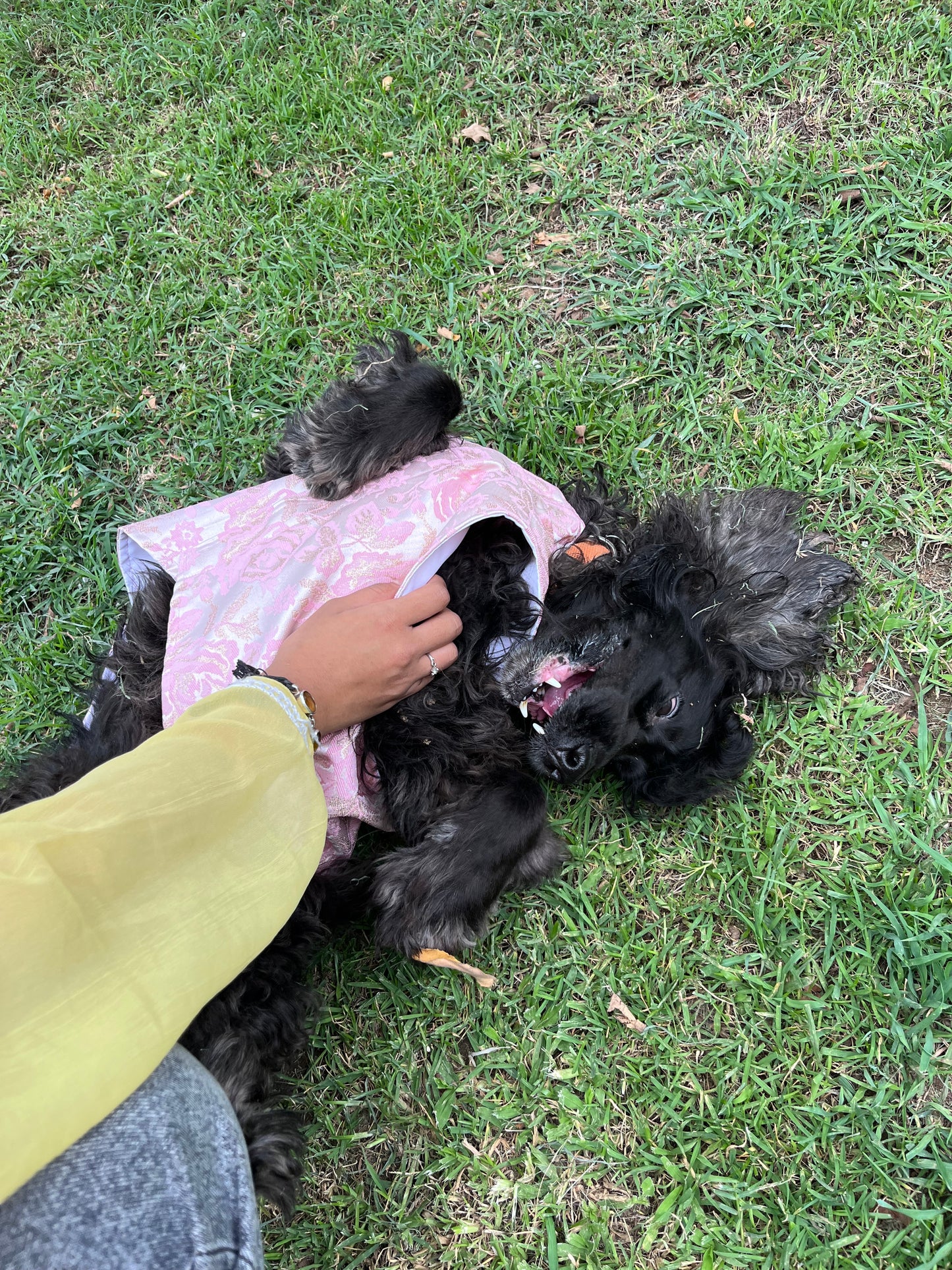 🐾 Kutta Kurta – Blush Royale (Pookie Collection) 🌸