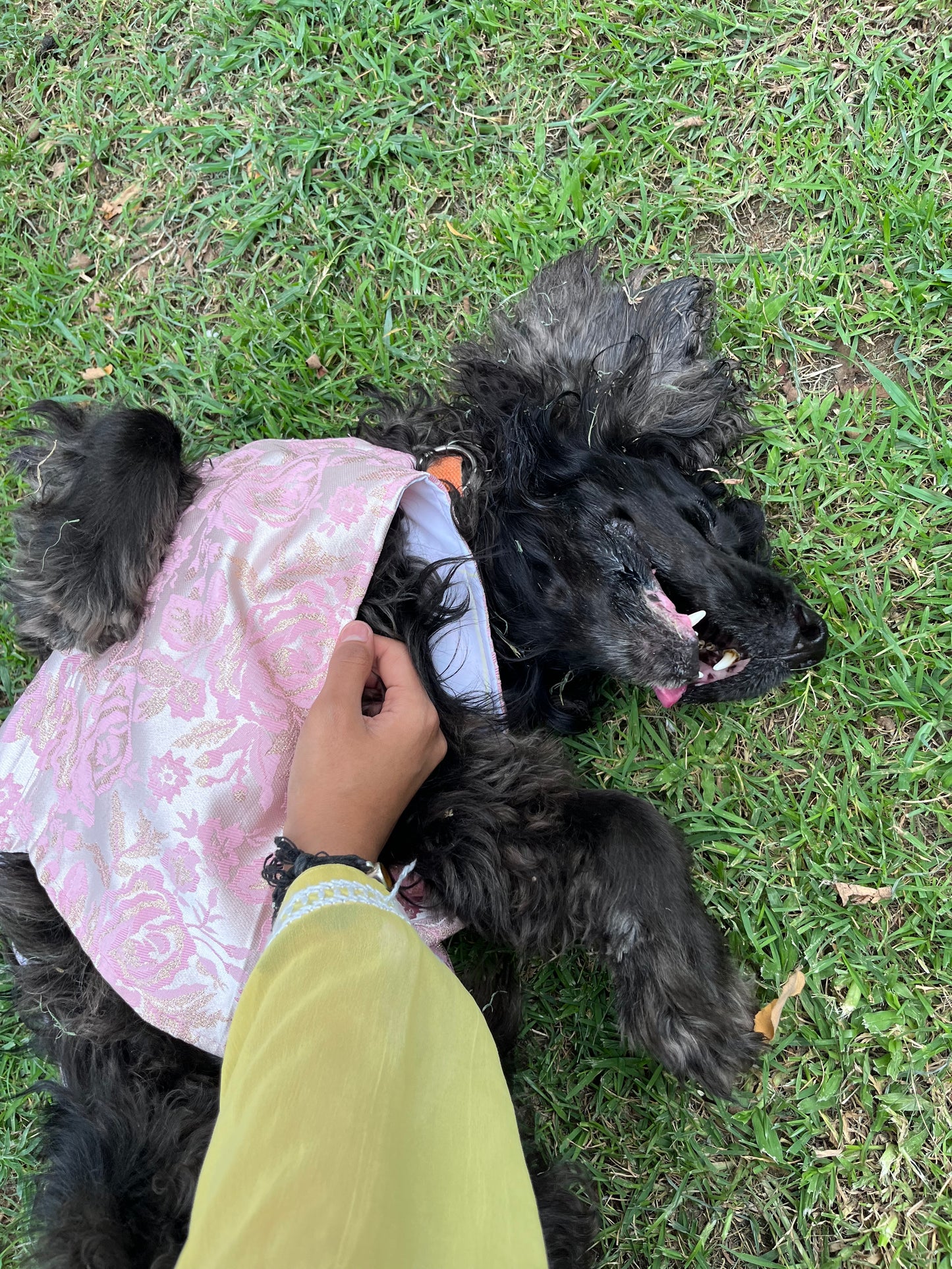 🐾 Kutta Kurta – Blush Royale (Pookie Collection) 🌸