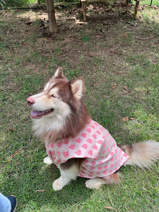 🐾 Kutta Kurta – Gulabi Bloom Edition 🌸